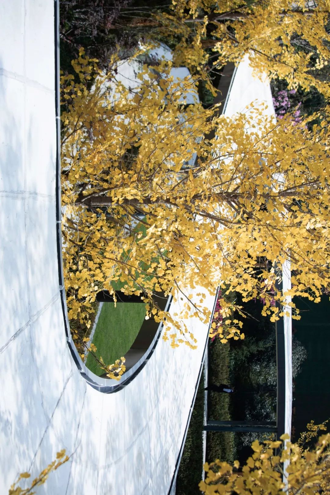 菏泽当代城 MOMΛ | 逐水溯梦的栖居空间-7