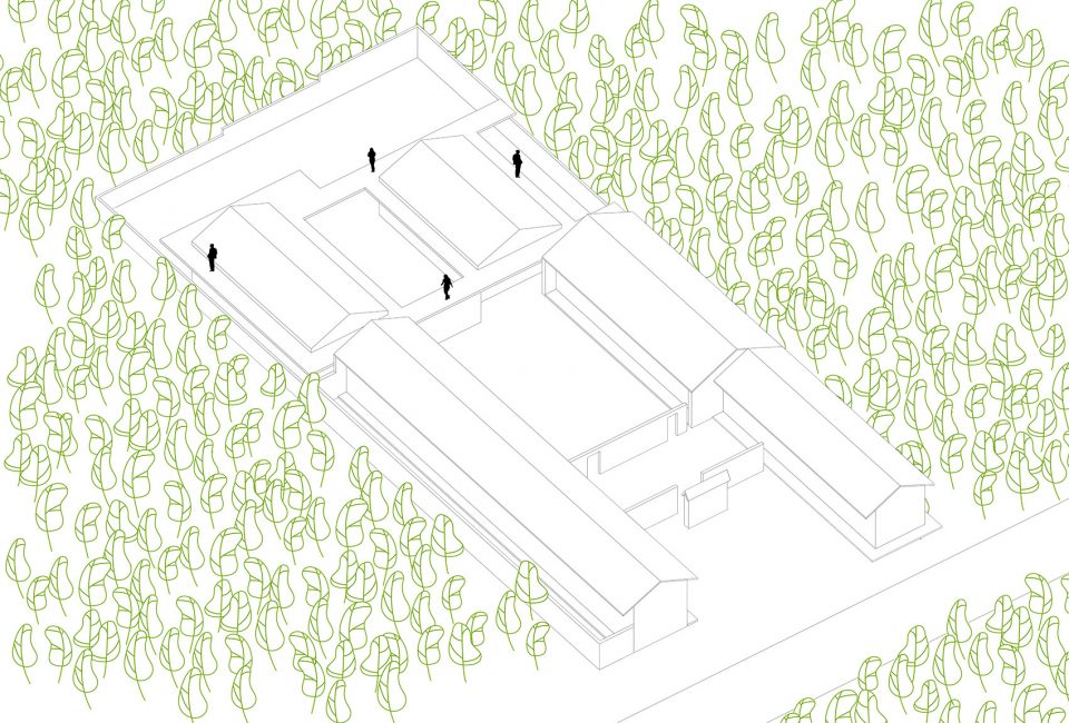 城后村休闲农业示范园-45
