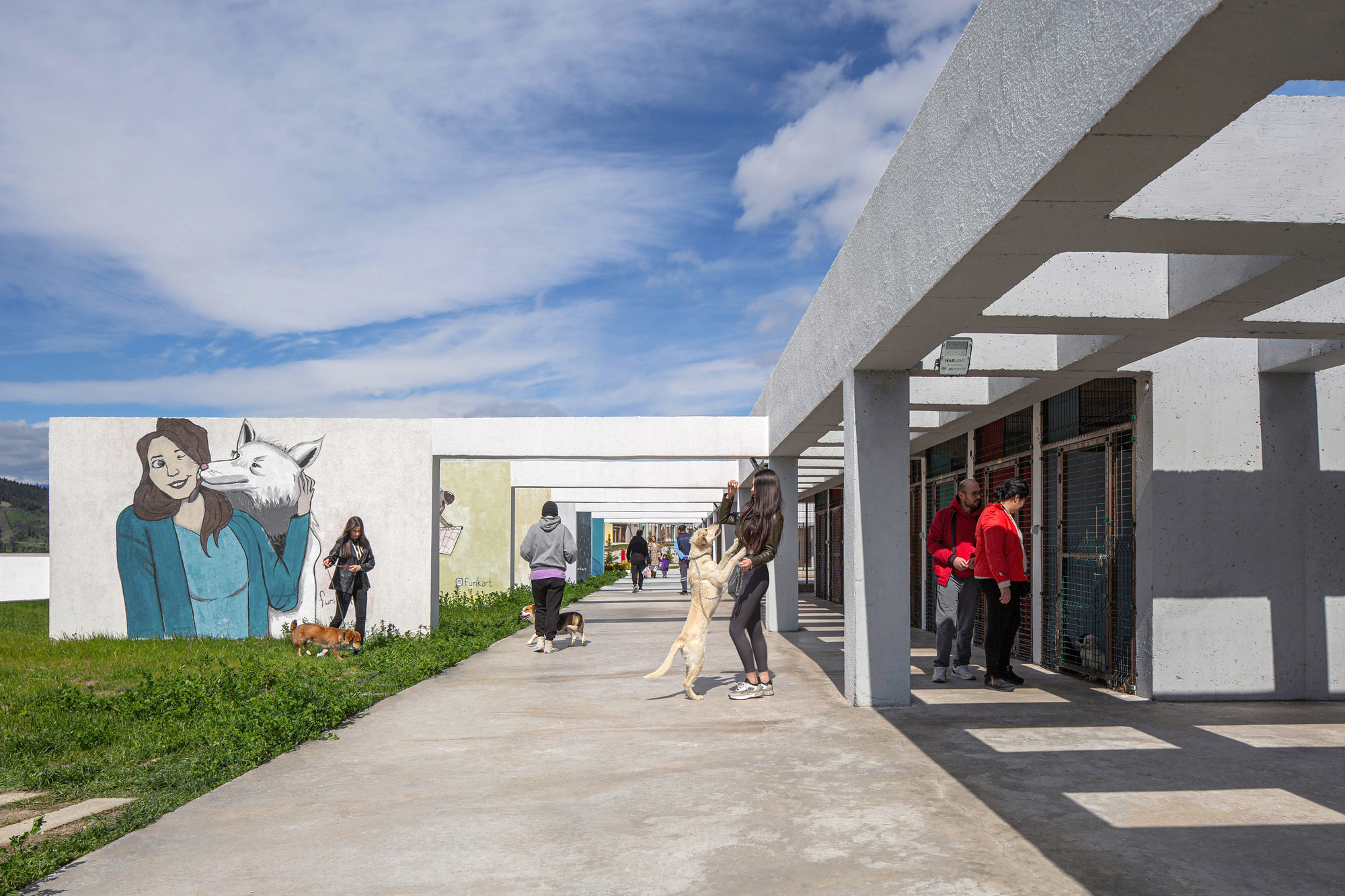 Pako Street Animal Social Life Campus  / Mert Uslu Architecture-31