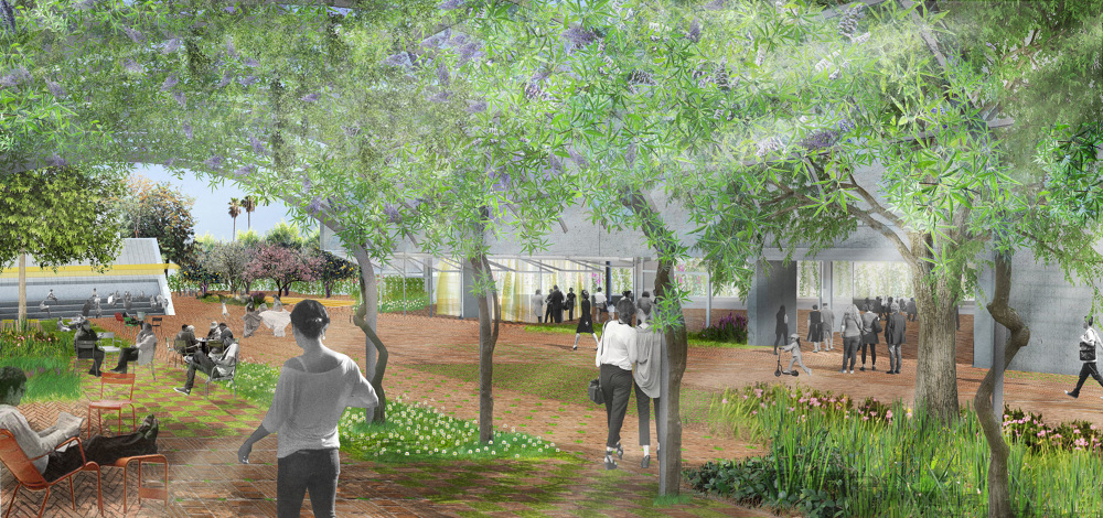 绿意盎然的语言之家·以色列里雄莱锡安“希伯来之家”-6