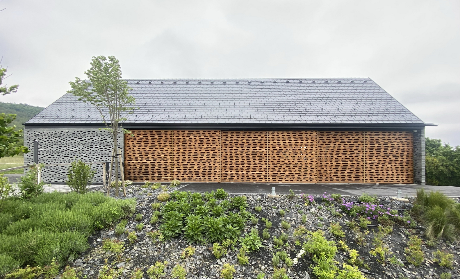 谷仓小酒馆丨SAGRA Architects-4