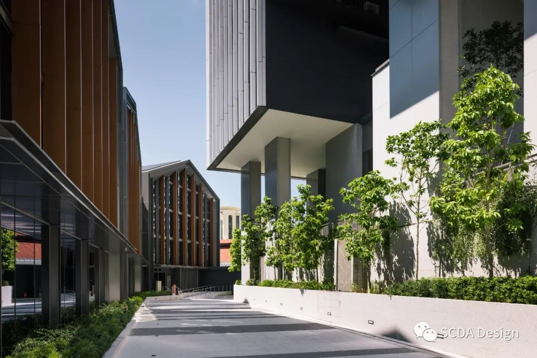 SCDA Architects | Rivière：建筑、河流、历史共谱和谐乐章-16