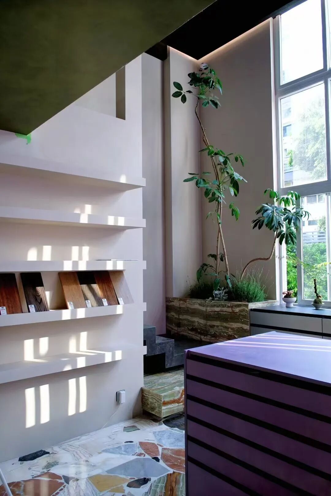 楼房花朵|紫色宇宙,点亮新程-31