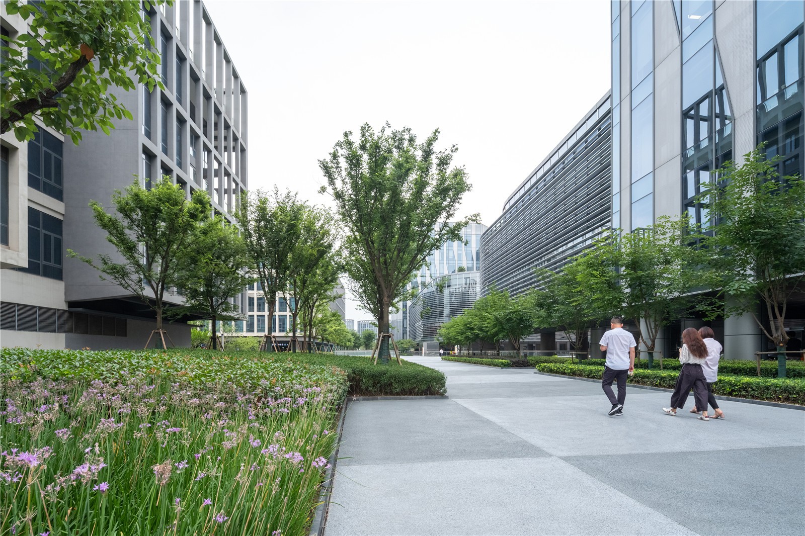 上海虹桥阿里巴巴综合体景观-38