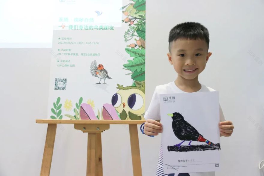 茏腾·探秘自然·鸟类涂鸦之旅-26