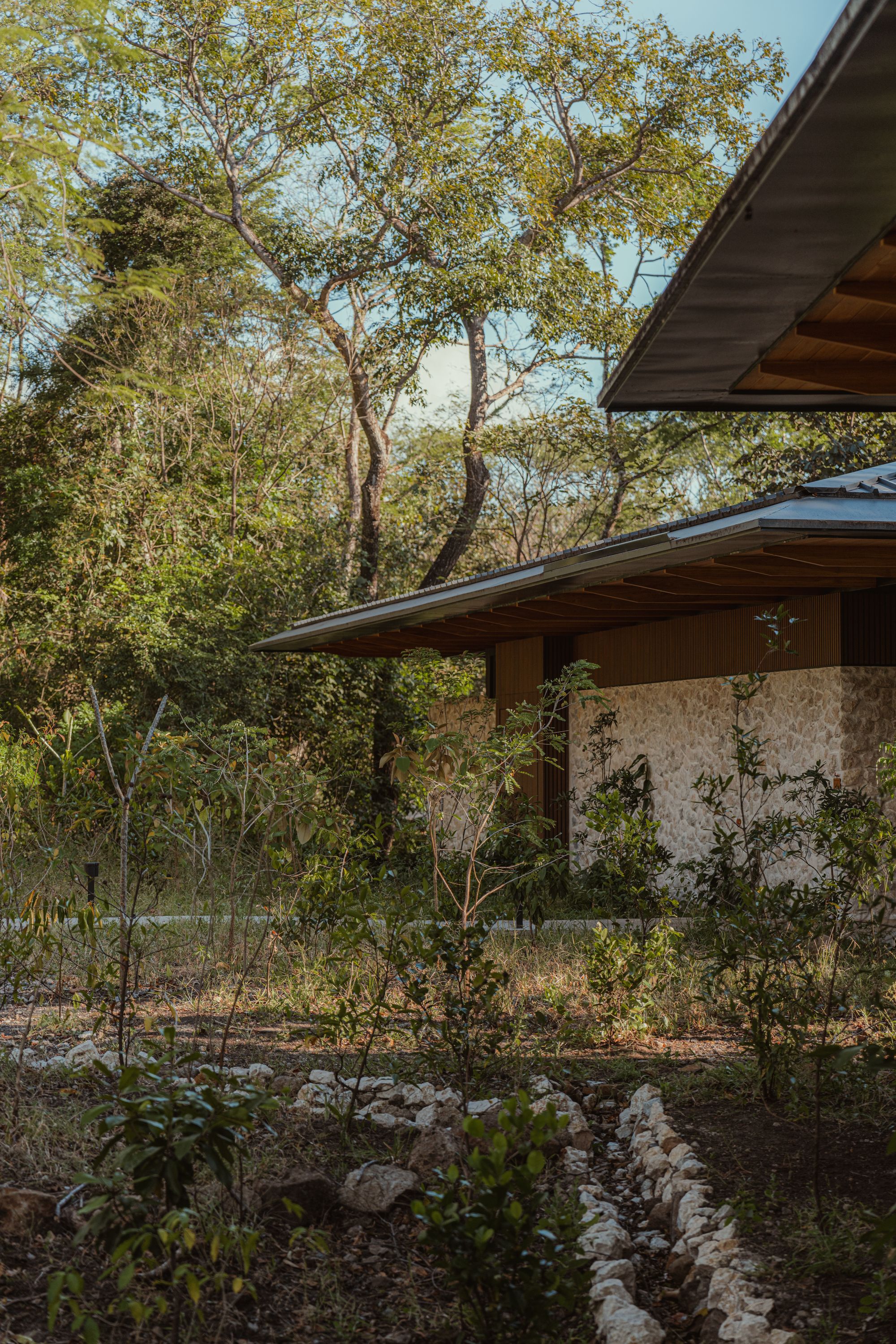 丨Costa Rica丨Studio Saxe（建筑）,Dania Saragovia（室内）-48