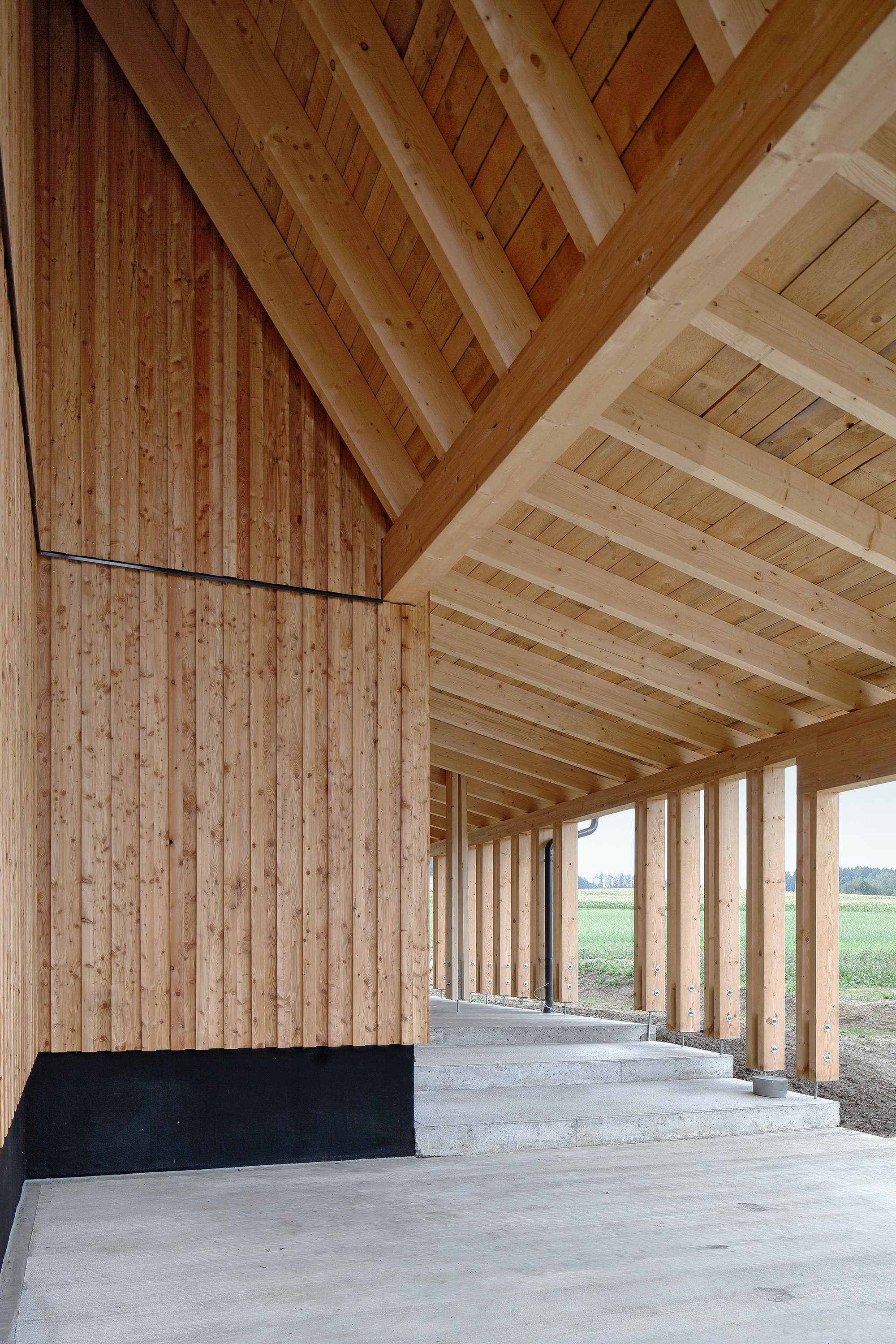 房子 SF 或 众议院 SF (具体需根据上下文确定)丨奥地利丨Moser und Hager Architekten-13