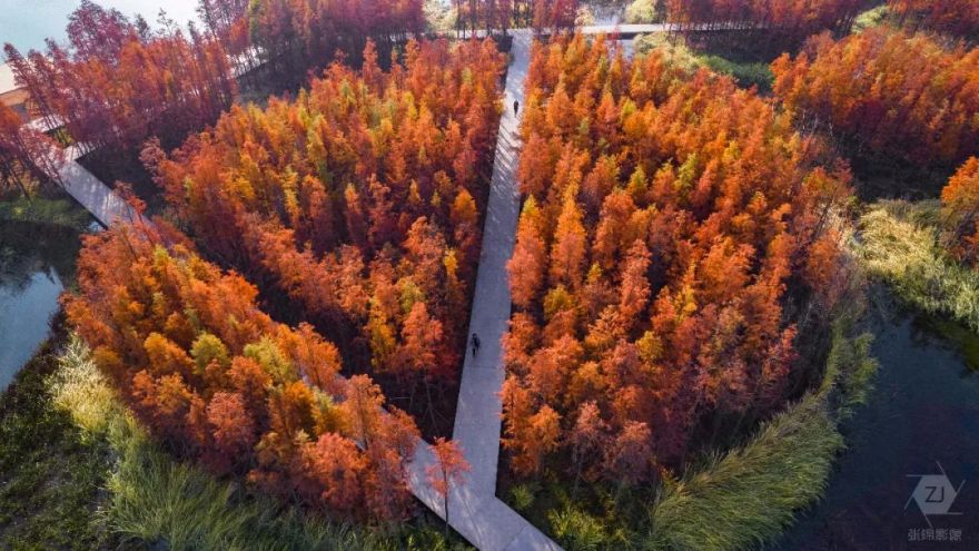 南昌市鱼尾洲湿地公园丨中国南昌丨北京土人城市规划设计股份有限公司-24
