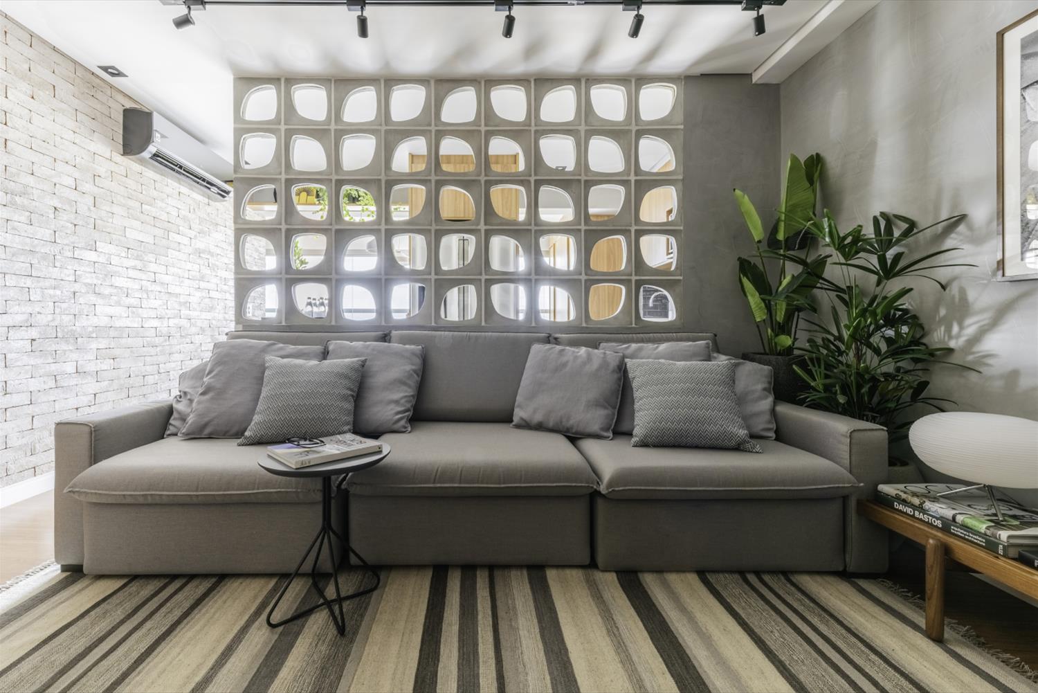 Ipiranga 公寓的创新设计-4