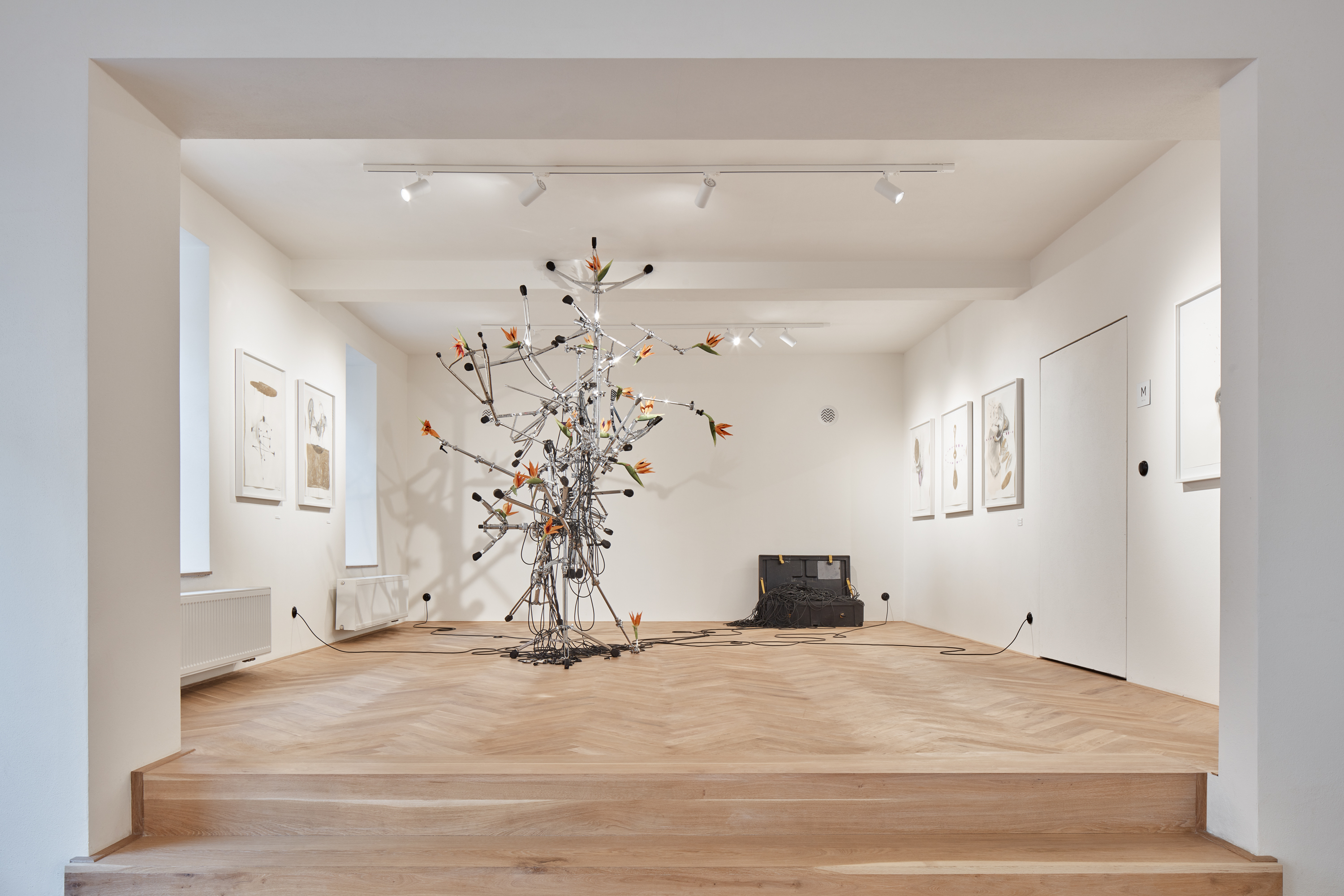 磷化镓，画廊和空间-17