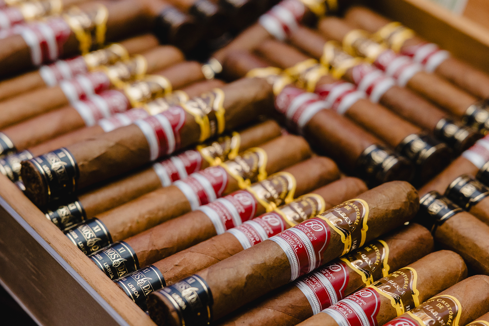 XI Habanos Day Portugal-20