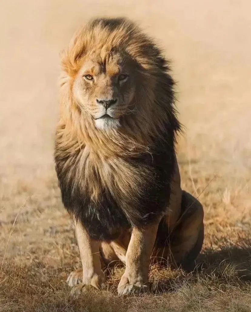 安德蒙特(深圳)展厅丨中国深圳丨JOLLYDESIGN 乔里设计-1