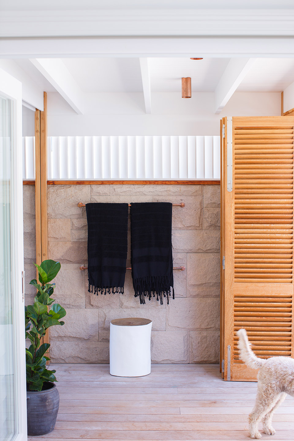 怀特住宅,澳大利亚 / buck&simple -21