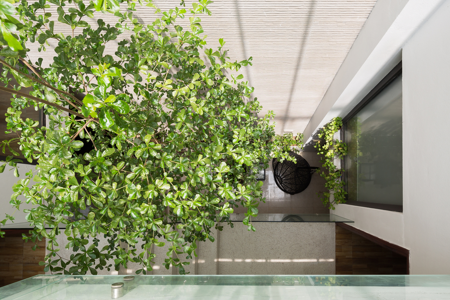 无损检测薄层色谱法之家-40