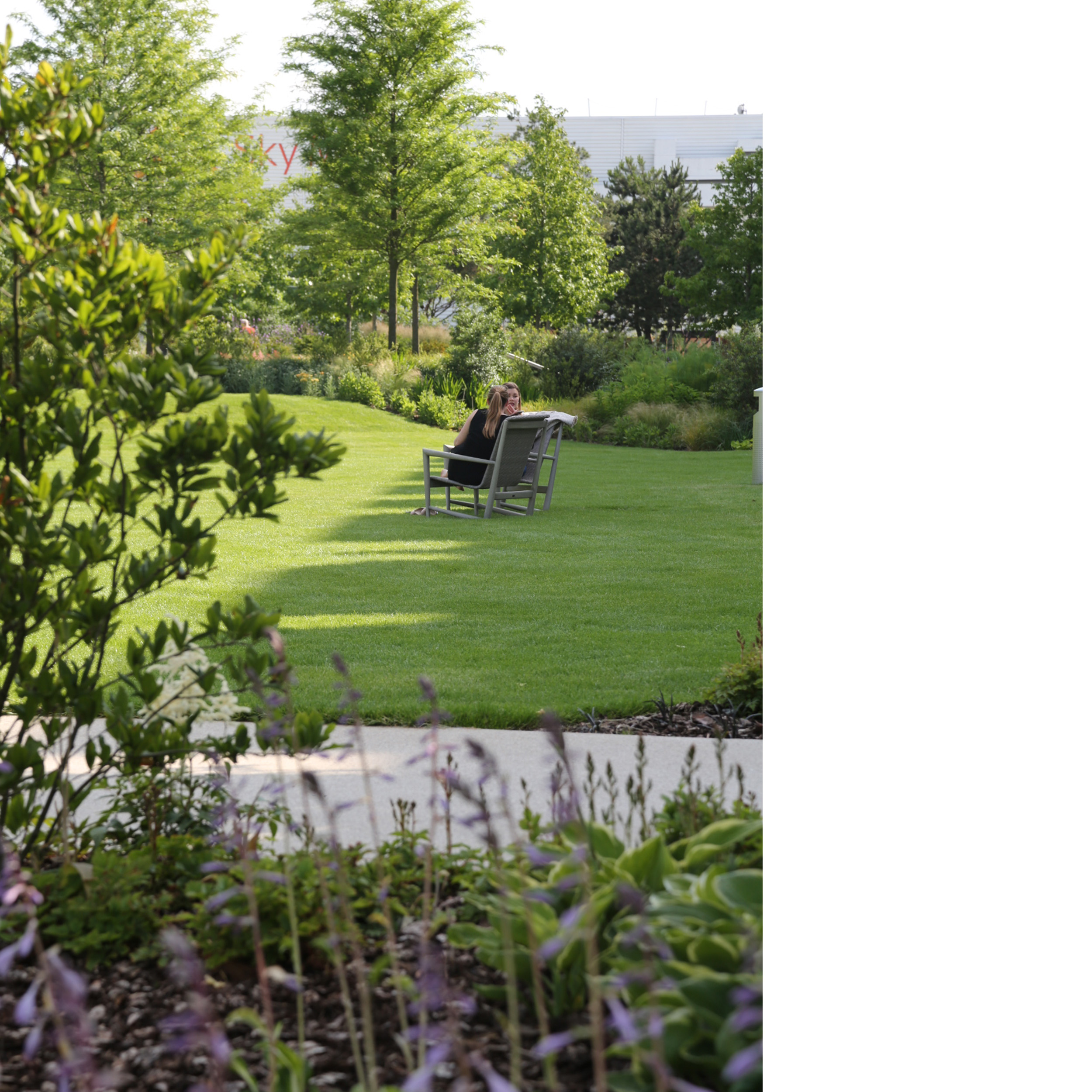 
			 SKY TV Campus Gardens			-6