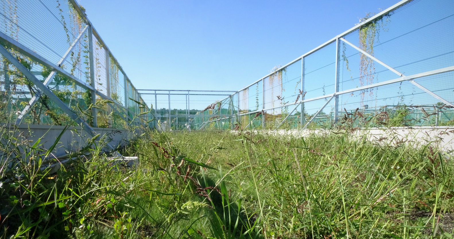 科内瓦尤学校环保设计-44