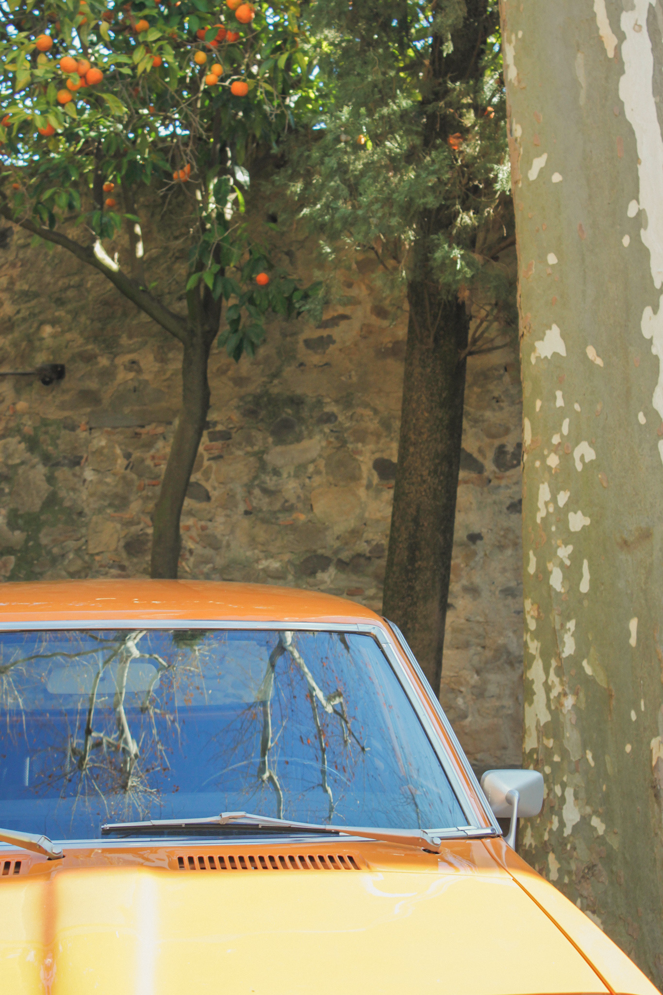 Dalí相关三处场所丨西班牙-65