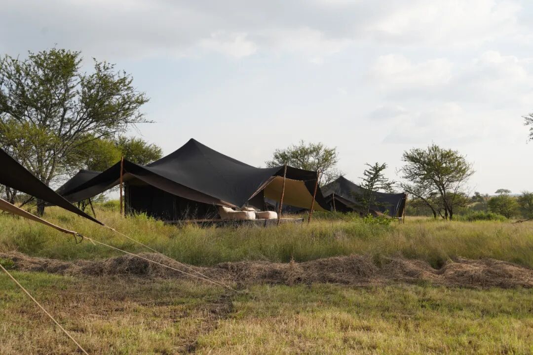 非洲考察2|坦桑酒店探访-189