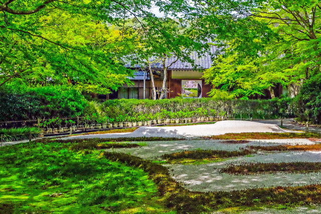 明月院庭园等景观丨日本神奈川-35