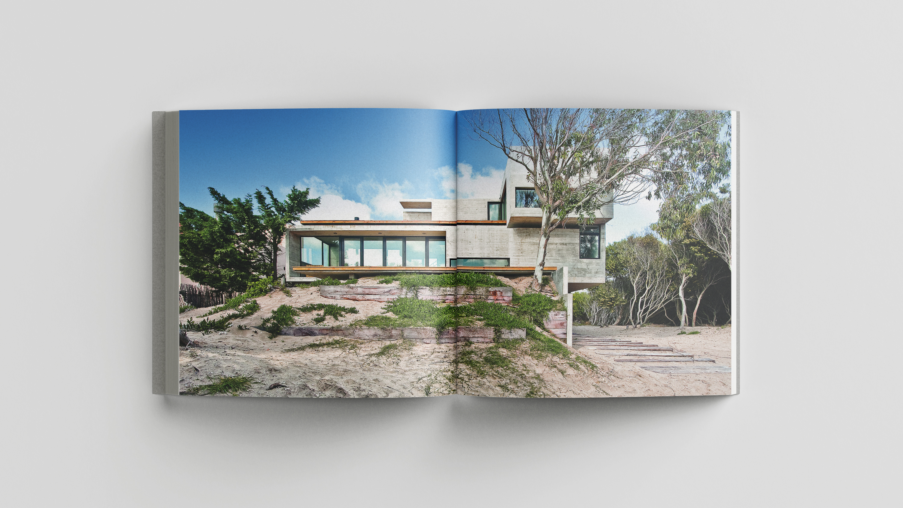 具体自然丨阿根廷-31