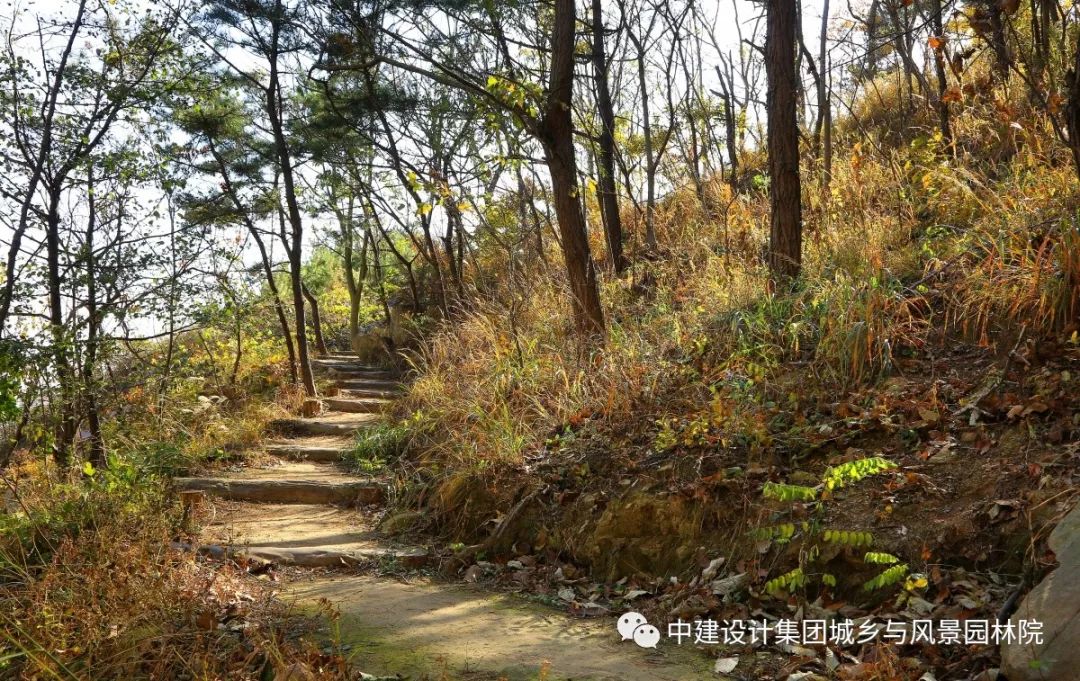 青岛浮山总体景观规划及重要节点详细设计丨中国青岛-269