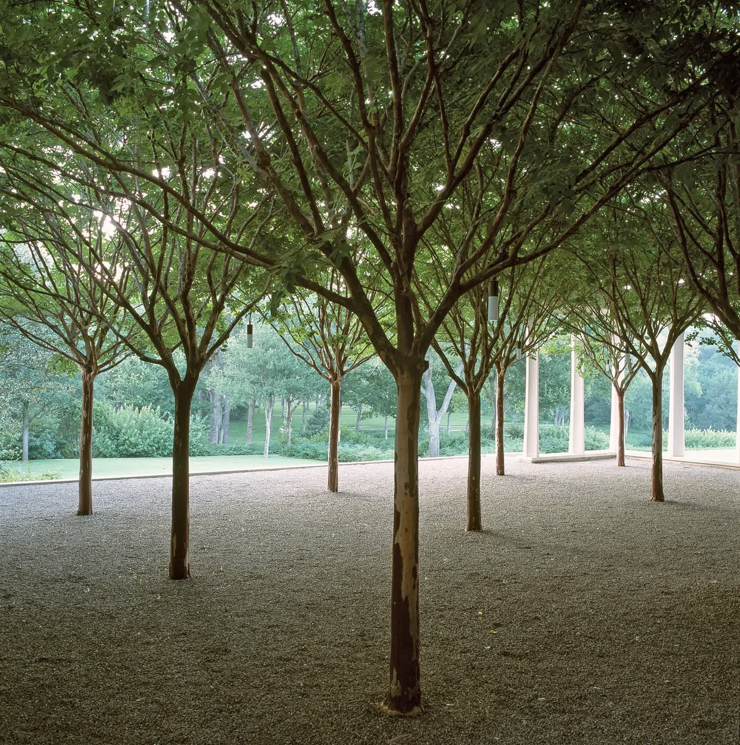 贝克住宅庄园丨美国达拉斯丨不详-13