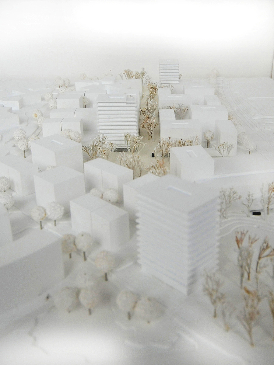 量子花园——埃宁根-20