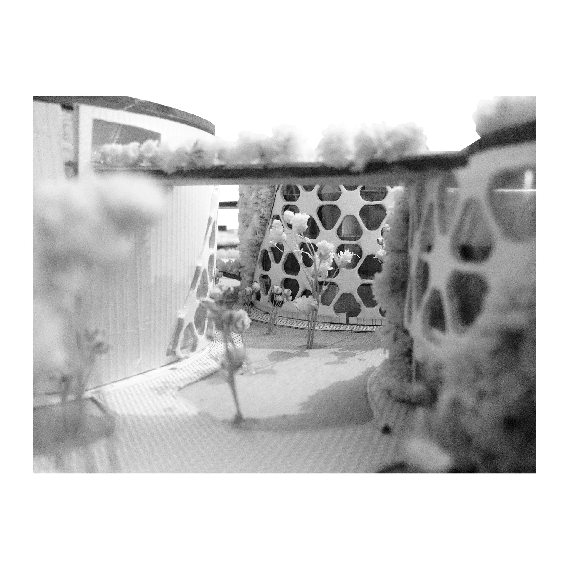 FIBAATA 文化中心丨哥伦比亚昆迪纳马卡-24