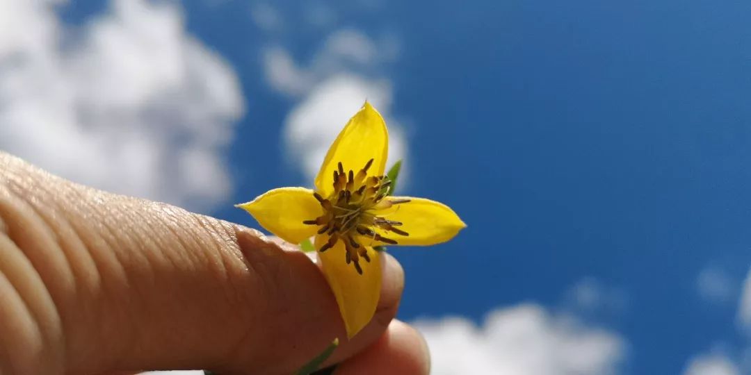 终南山书院 | 回归自然的诗意栖居-52