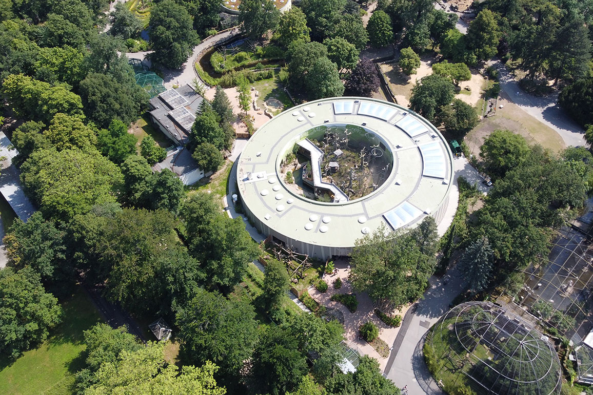 德累斯顿动物园猩猩馆丨德国德累斯顿丨未明确提及室内设计方,合作有Rehwaldt景观建筑师事务所-3