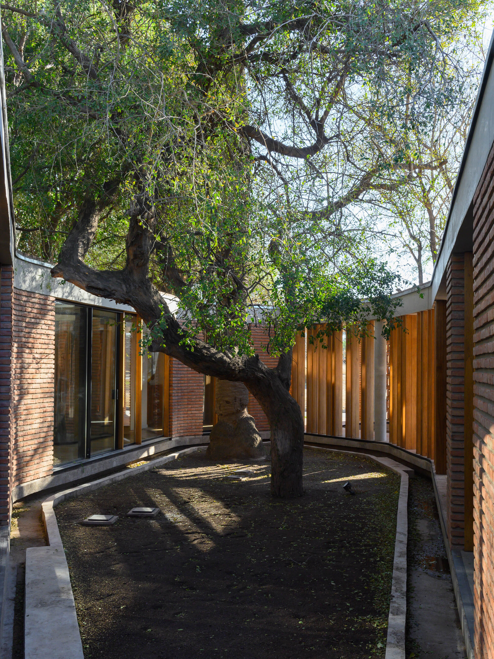 拉斯玛丽娅斯之家丨阿根廷科尔多瓦丨Daniella Beviglia,Santiago Viale-52