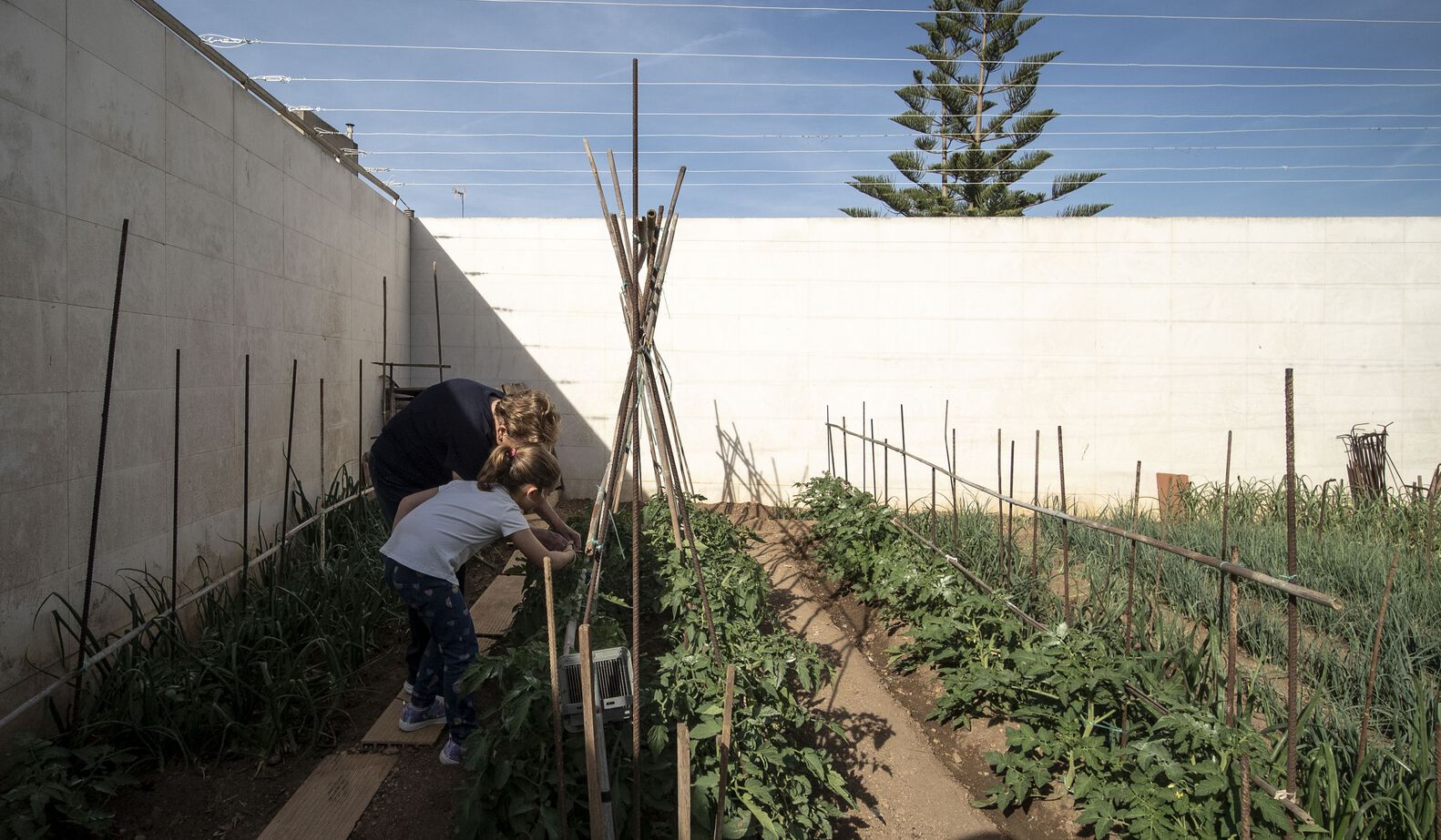 逆境中求变的古巴住宅设计丨Albor-16