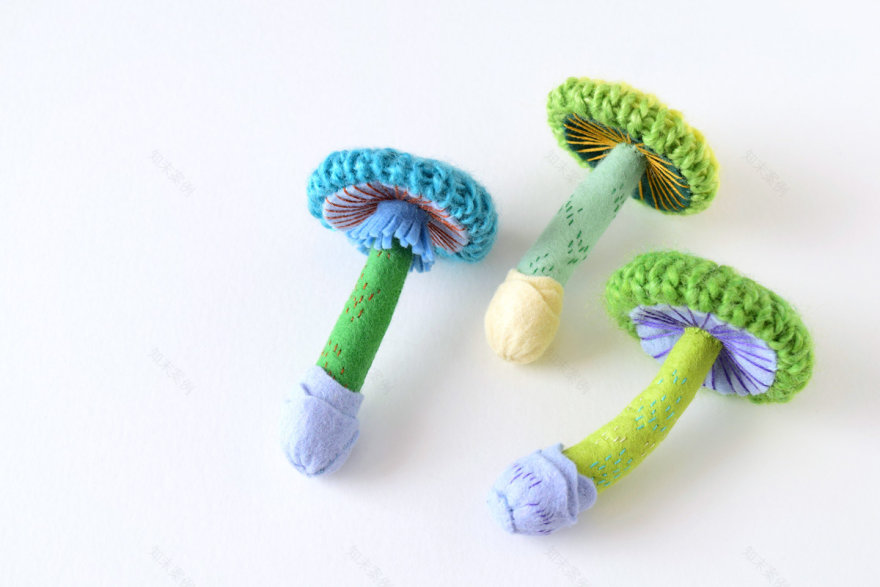 日本 Osaka 展览馆“标本王国”展示独特编织蘑菇胸针-19