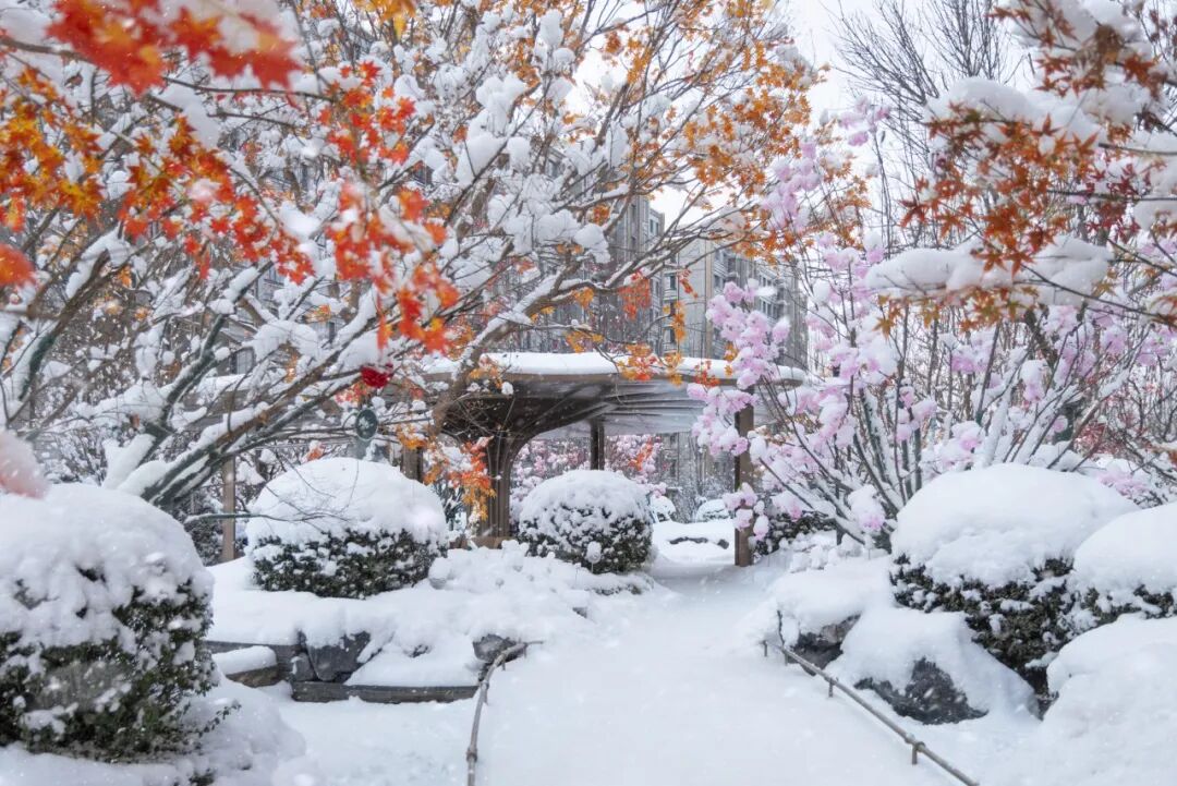 北京·中海·翠湖玖章丨中国北京丨麦田景观-9