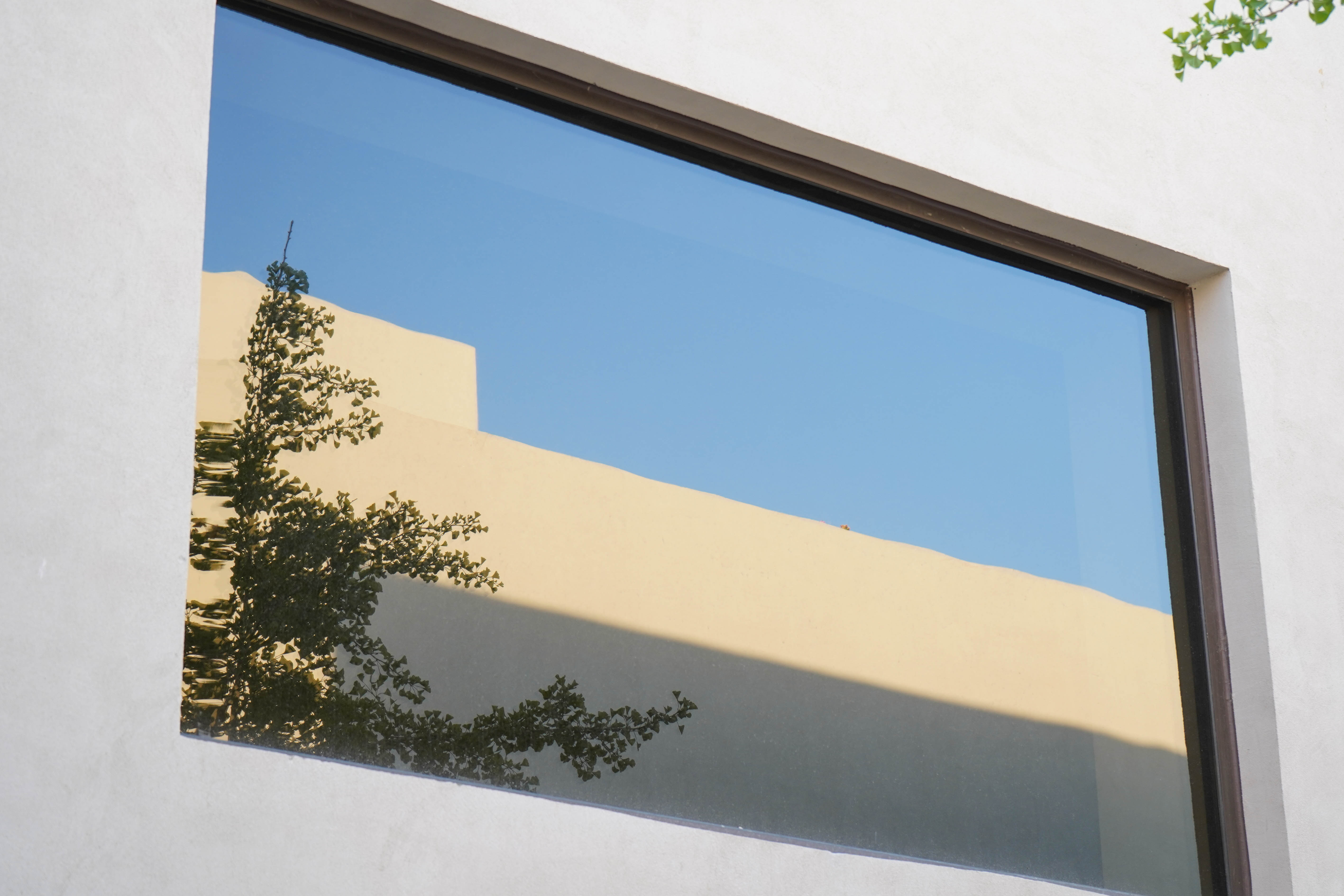 全球首个枸杞特产庄园丨中国银川丨夏科,唐志林-23