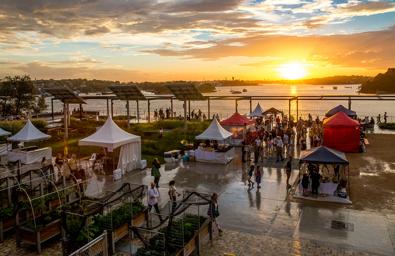 悉尼港口工业遗址变身绿色公共空间——"煤炭装载场"公园-11