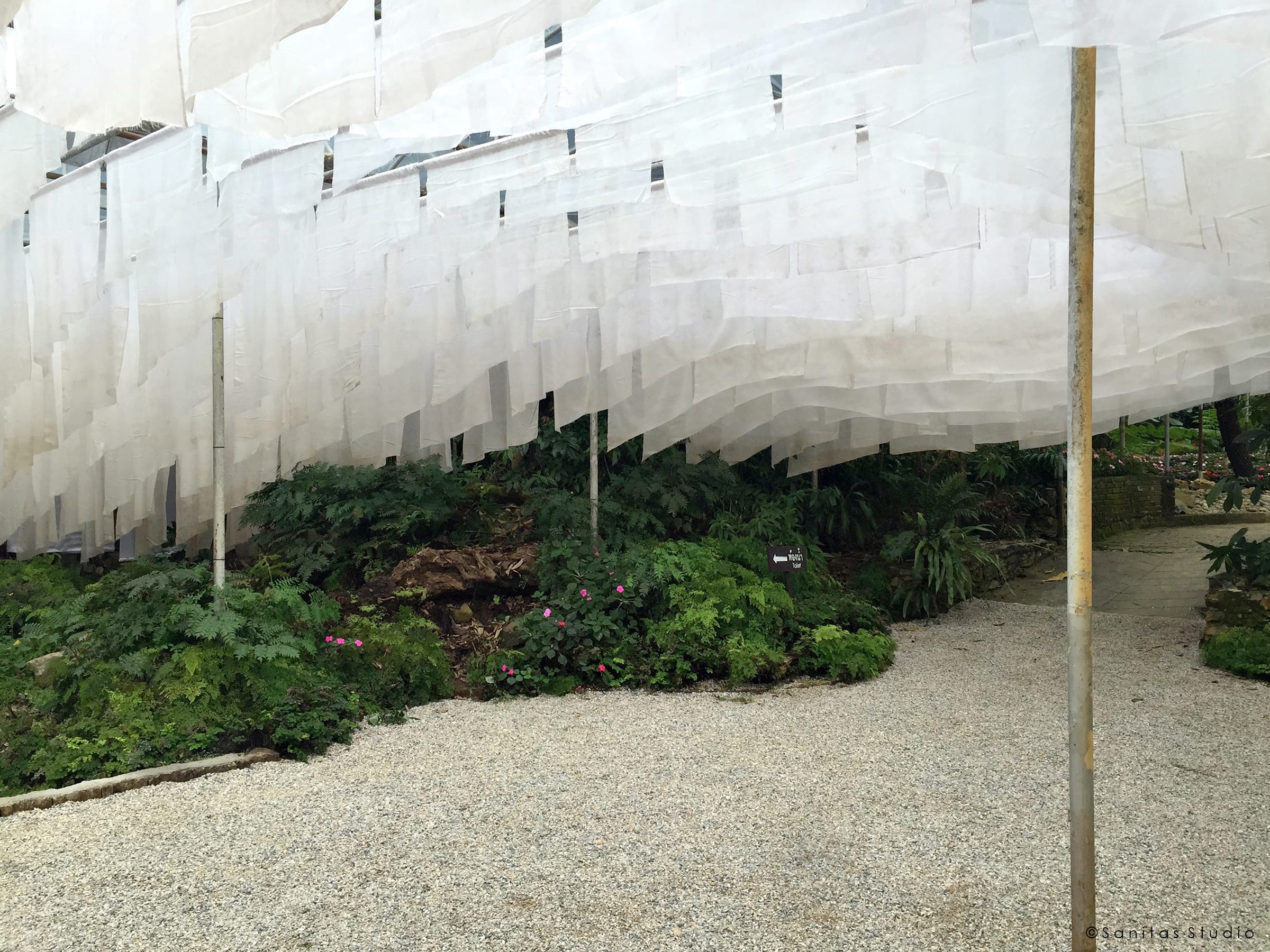 在山中,萨尼塔斯工作室-19