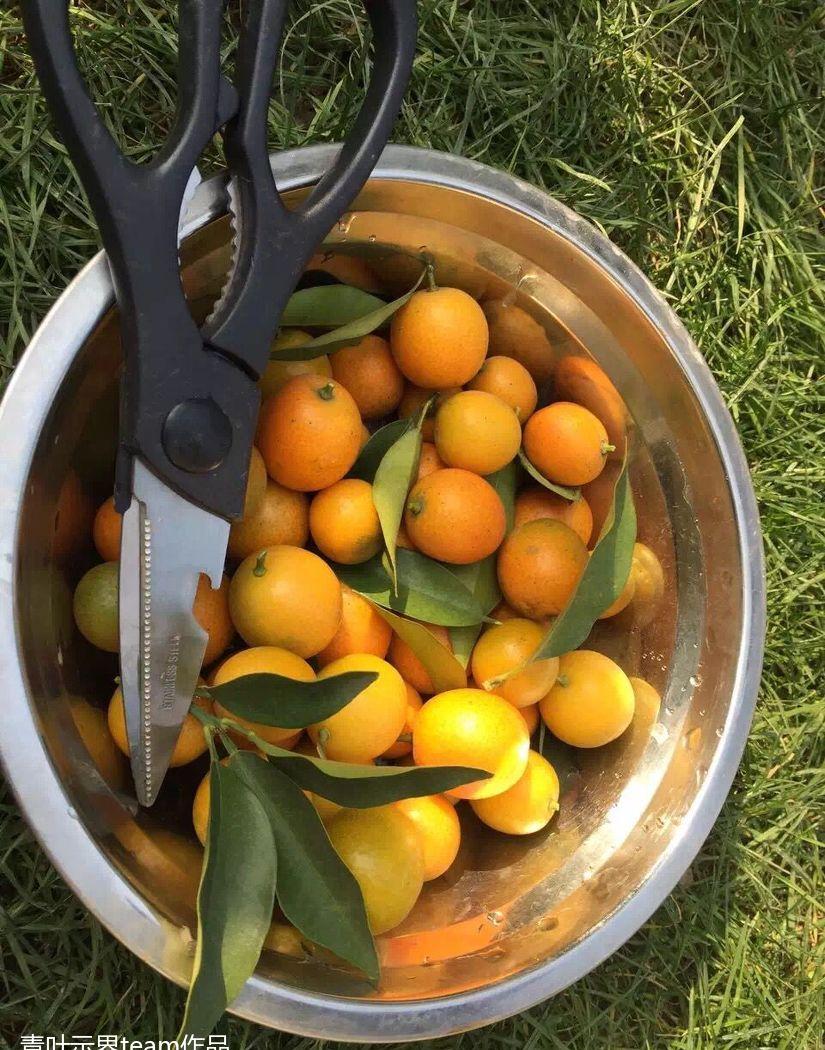 青浦别墅的实用宜居设计-29