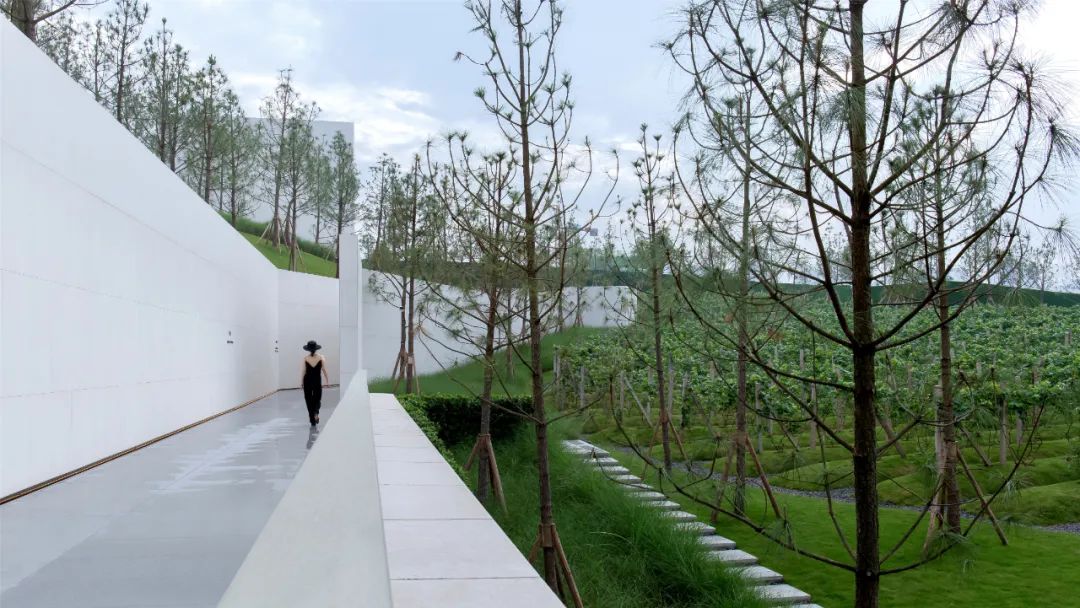 重庆万科璞园丨中国重庆丨WTD纬图设计-37