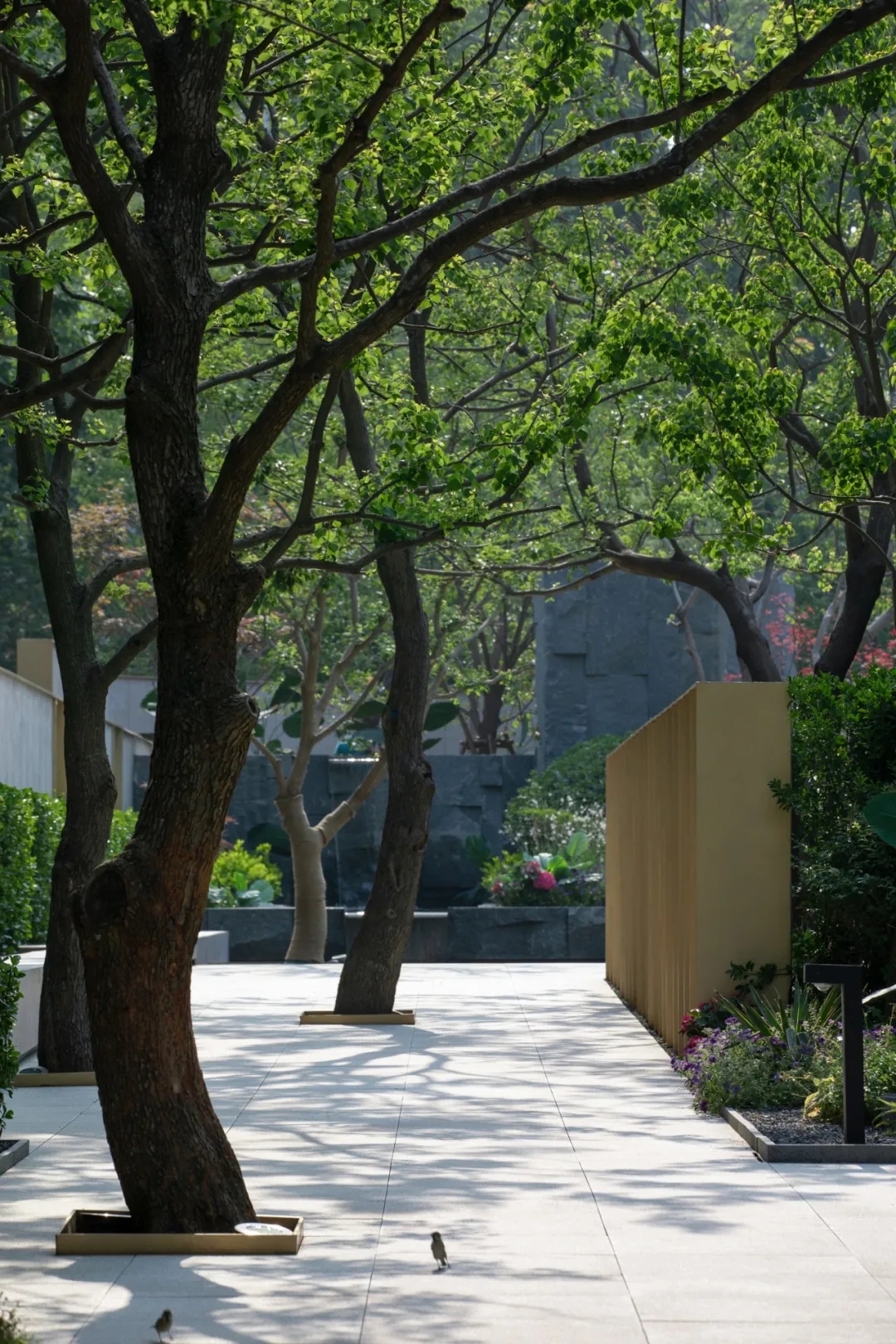 郑州雅宝龙湖·天钜示范区景观丨中国郑州丨道远设计-6