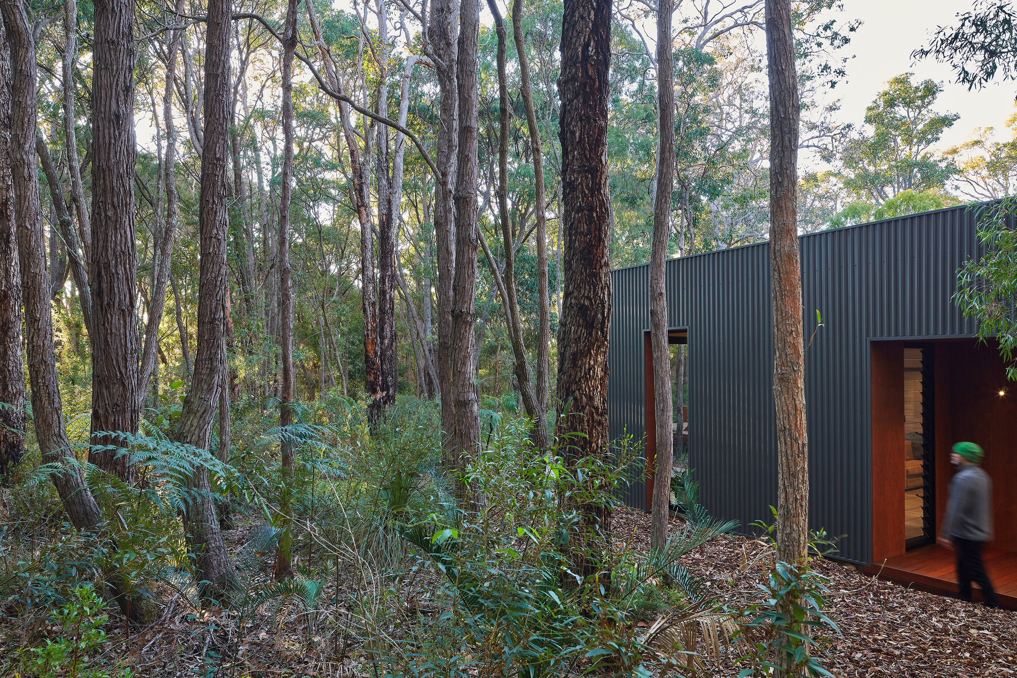 Hidden House / Archterra Architects-31