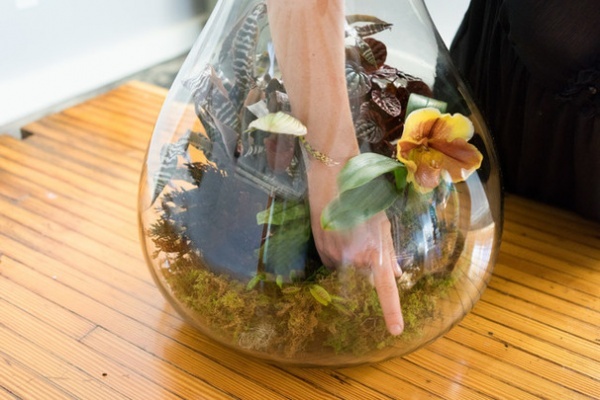 Houzz DIY: Halloween Terrarium - Decor Ideas-25