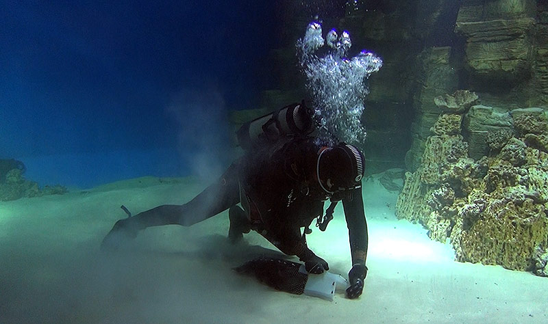 莫斯科海洋馆155立方米鳐鱼海洋水族缸-34
