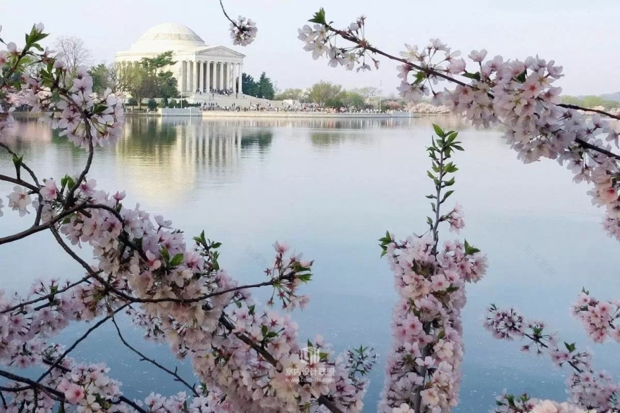 季裕棠最新作品 - 华盛顿柏悦酒店-4