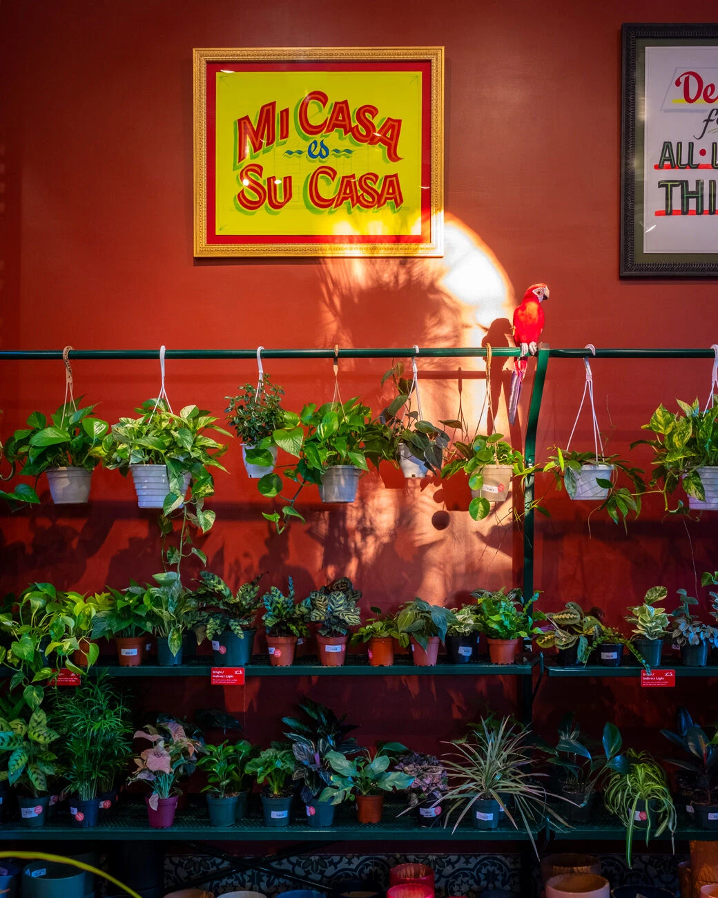 图拉植物与设计丨美国纽约-20