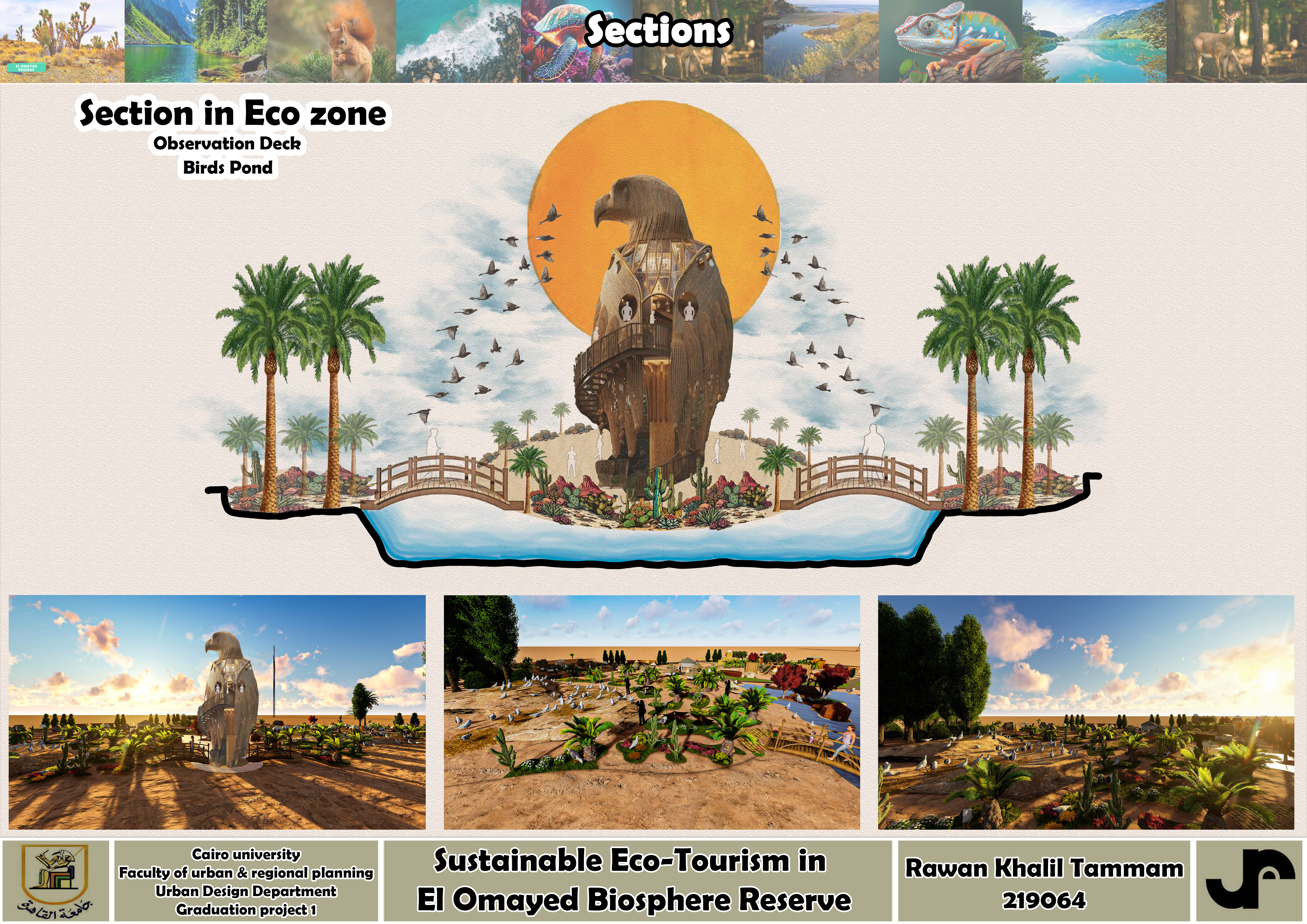 Sustainable Eco-Tourism In El Omayed Biosphere Reserve-34