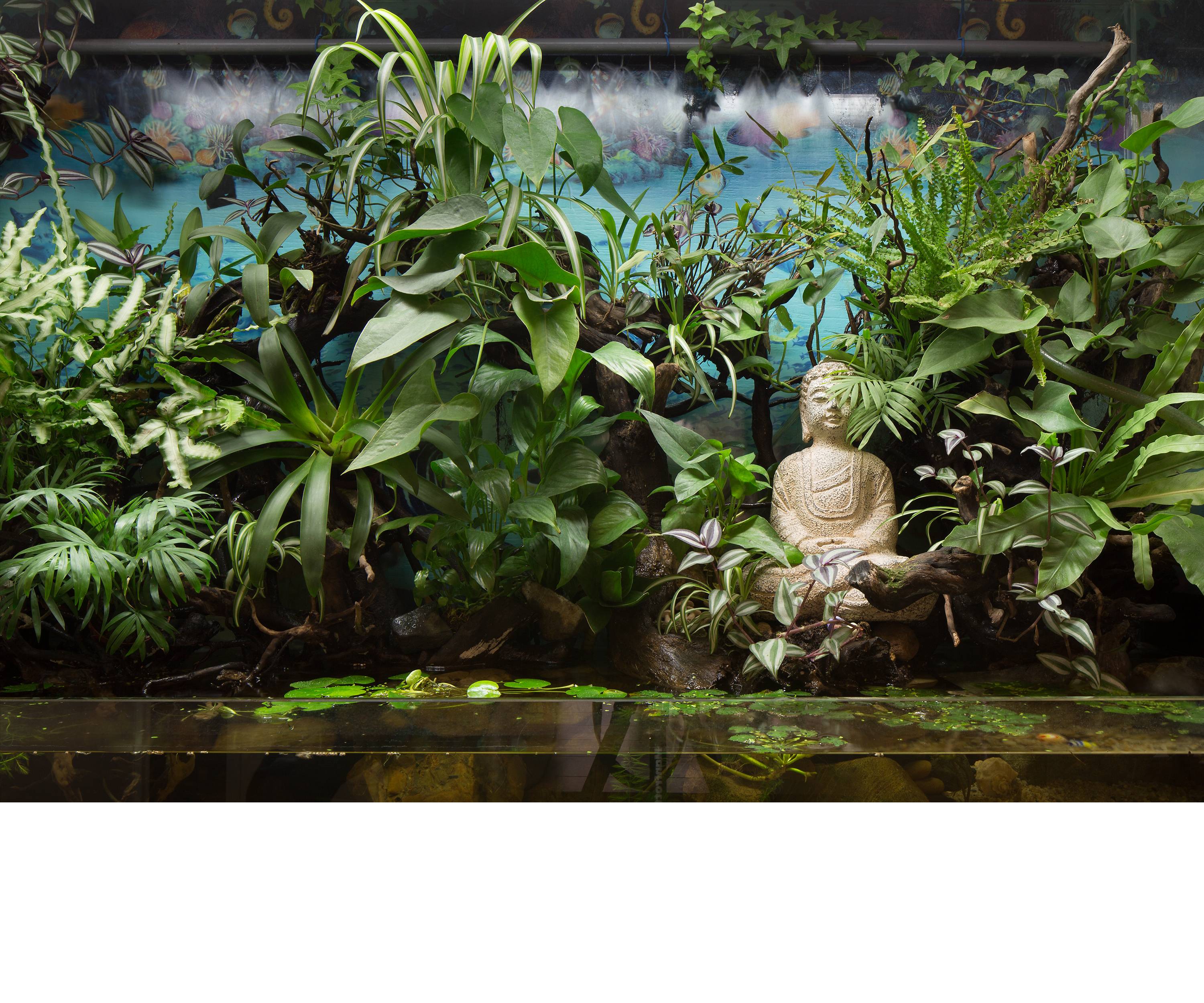 树屋设计  绿野仙踪-12