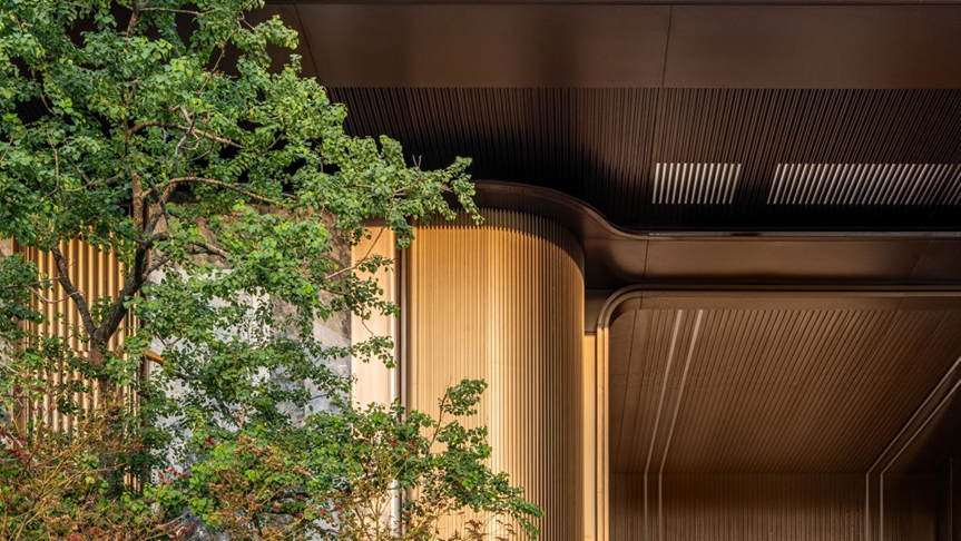 合肥千万级封面豪宅「伟星天元」丨中国合肥丨顺景园林,DIA 丹健国际-36