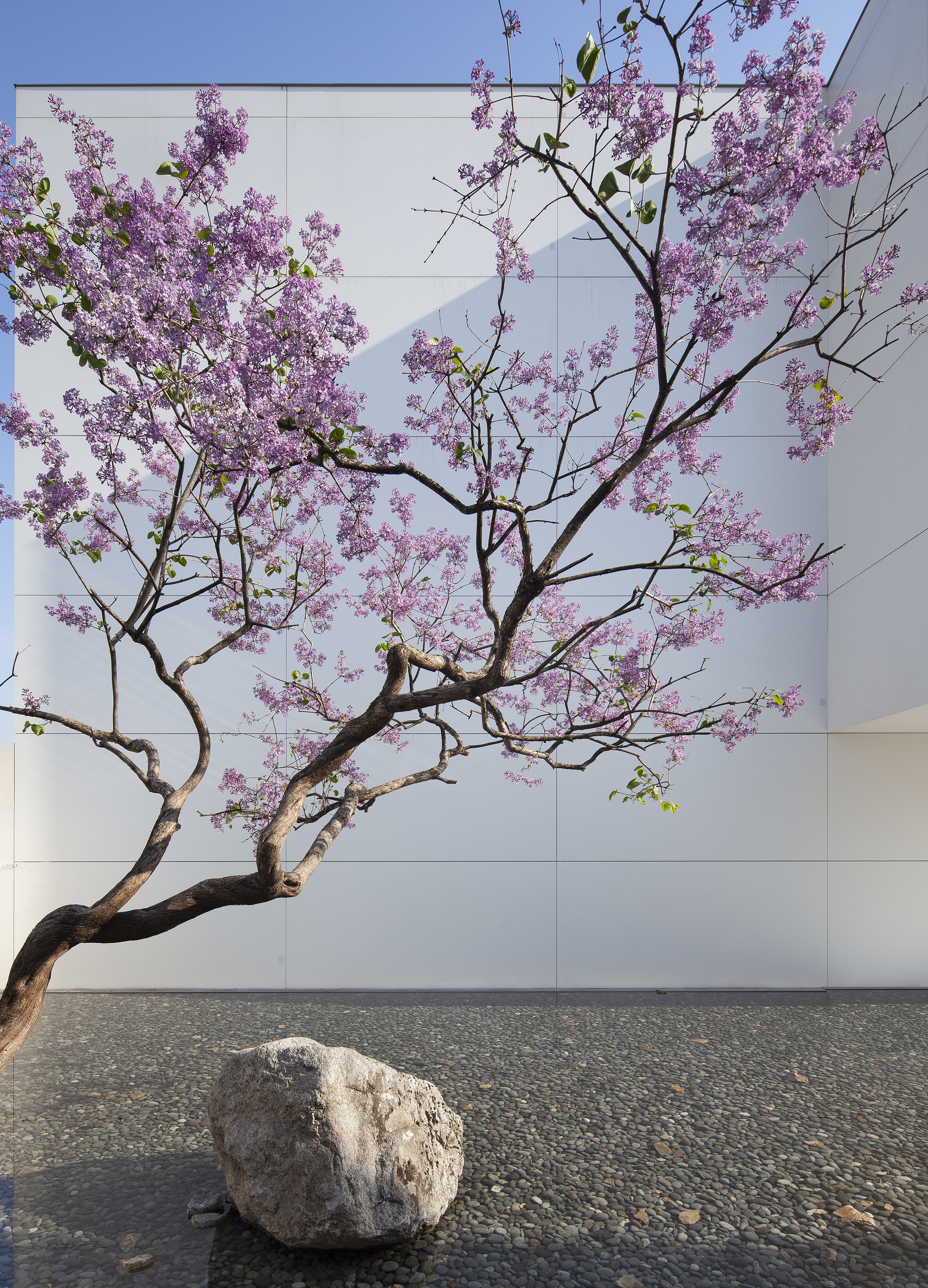 达科之家（Dacor House）B&A Design Communication  设计-36