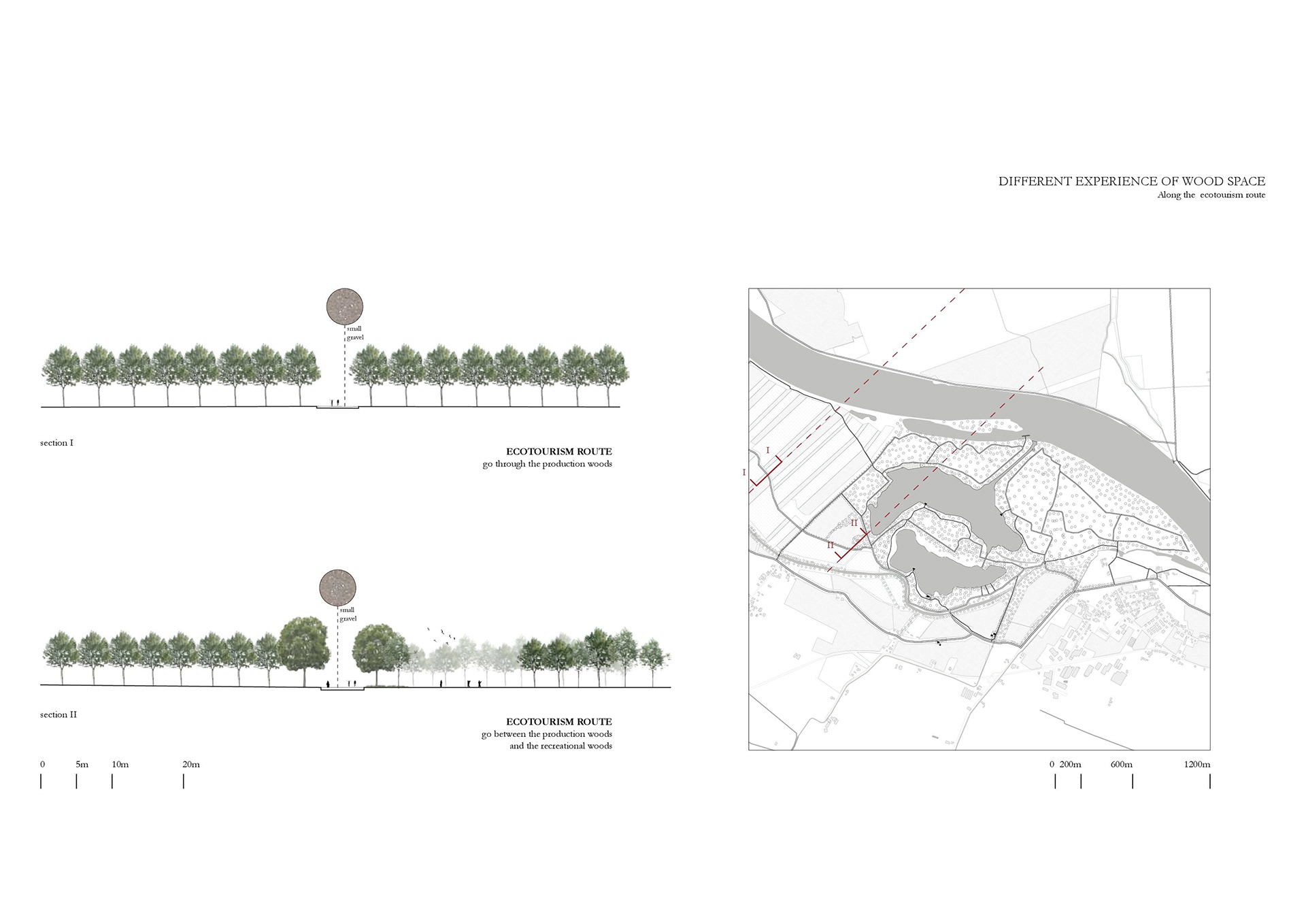 Pre-Thesis Final Studio: Un Po Piu di Boschi-35